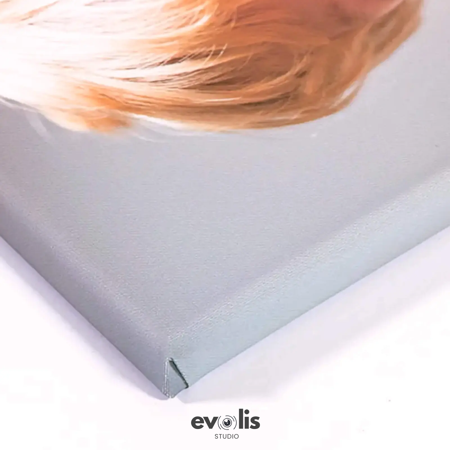 Premium Canvas Print